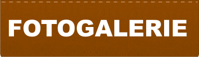 FOTOGALERIE