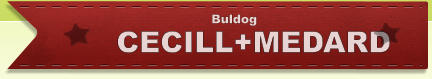 CECILL+MEDARD Buldog